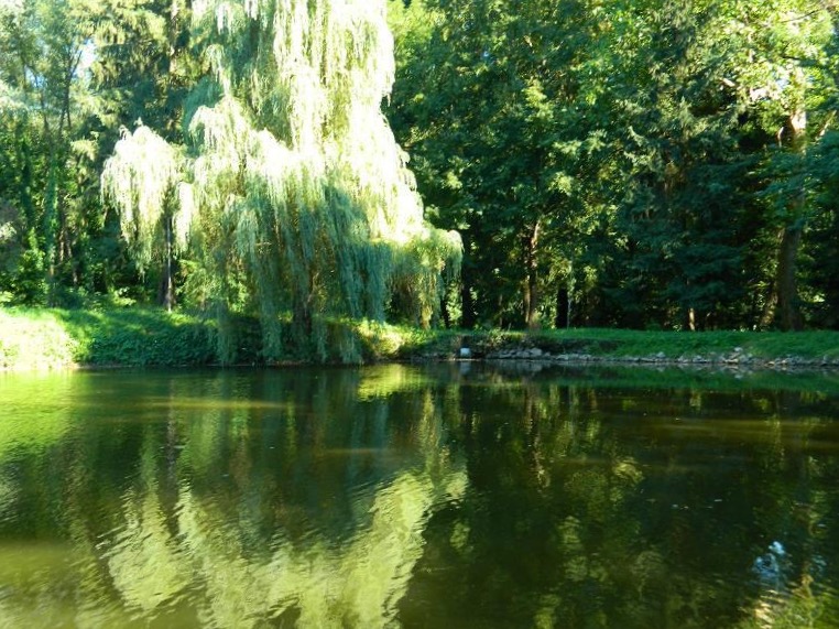 Lacul din parcul Săvârșin — imagine de context, nu fotografie a taberei
